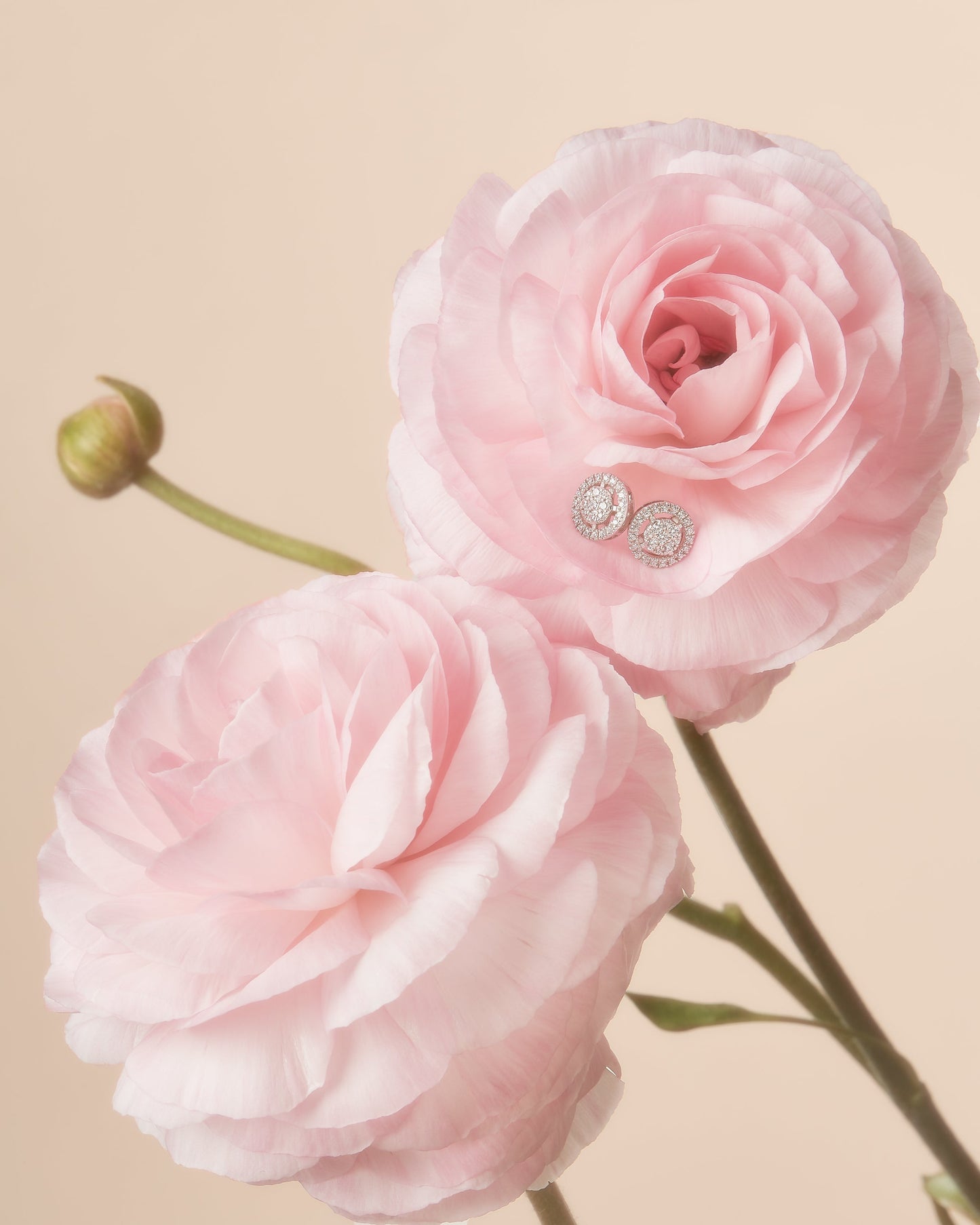 サークルパヴェ ピアス (※シングル0.16ct&ペア0.32ct)