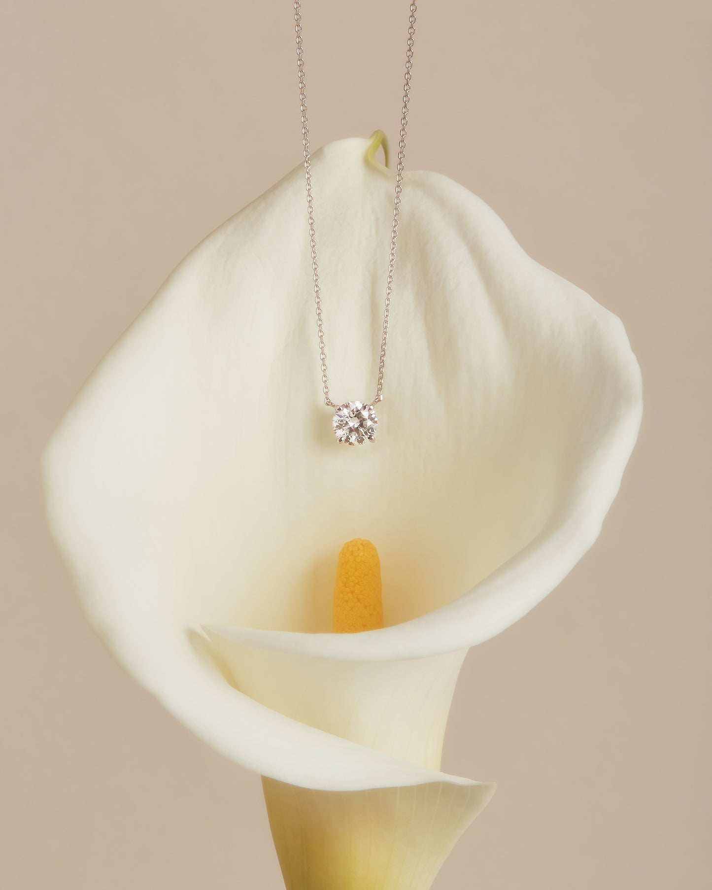 【即納可能】GIOIA ネックレス 1ct+