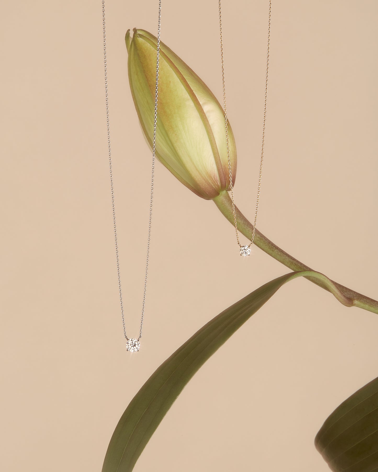GIOIA ネックレス 0.5ct+