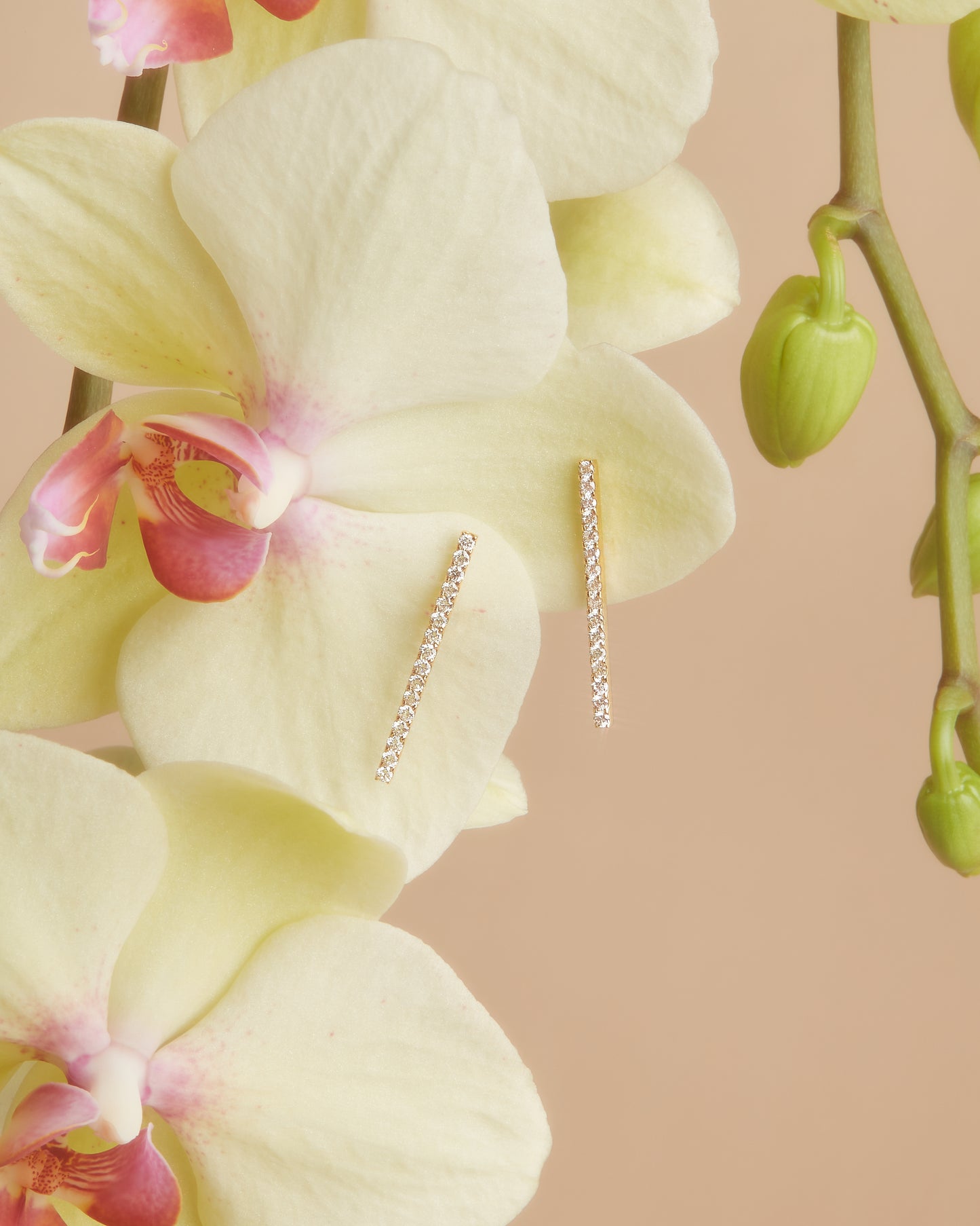 【即納可能】LINEピアス ペア 0.6ct「Donation with AGIOIA」対象商品