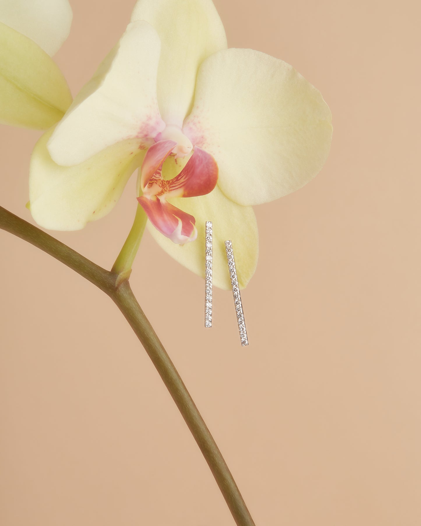 【即納可能】LINEピアス ペア 0.6ct「Donation with AGIOIA」対象商品