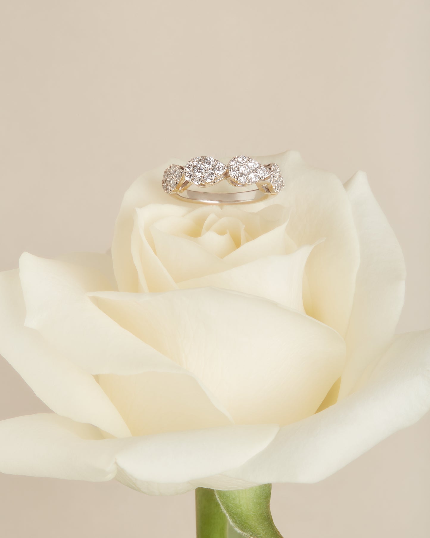 【即納可能】Sizuku リング 12号, 0.65ct